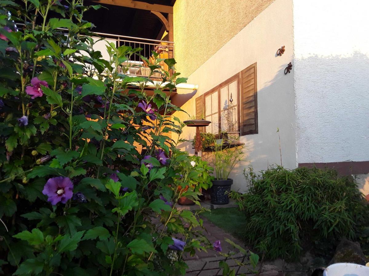 Haus Sonnenblick Momlingen Exterior foto